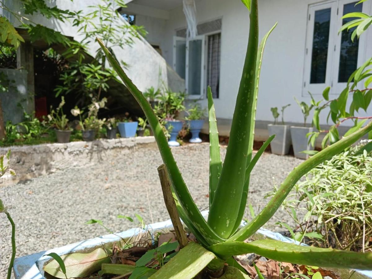 Villa Diamond Nest Unawatuna Dış mekan fotoğraf